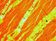 Perthite 0.4mm.jpg
