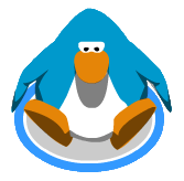 Penguin sitting