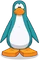 PenguinsAqua