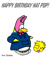 Happybirthdayhat