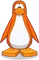 PenguinsOrange
