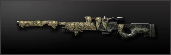 latest?cb=20100914230409