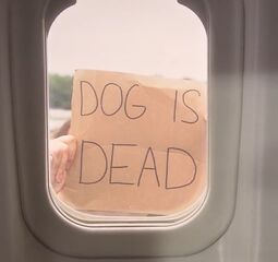 http://vignette1.wikia.nocookie.net/come-fly-with-me-tvshow/images/e/ef/Dog_Is_Dead.jpg/revision/latest/scale-to-width-down/255?cb=20140608074836