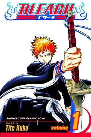 File:Bleach 1.jpg