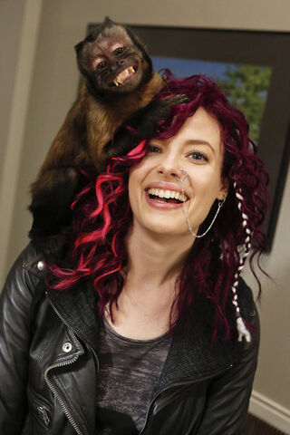File:4X12 promopic 4.jpg