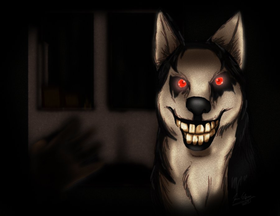 smiledog原图,smile手术 image gallery: smile dog