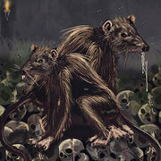 Ratsinthewalls