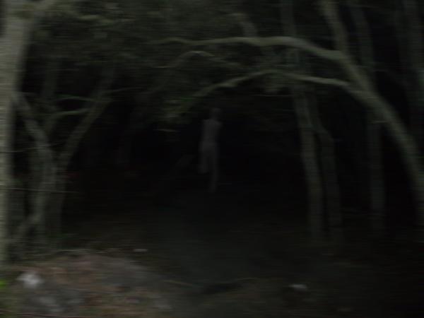 BOB Creepypasta Wiki Fandom powered by Wikia