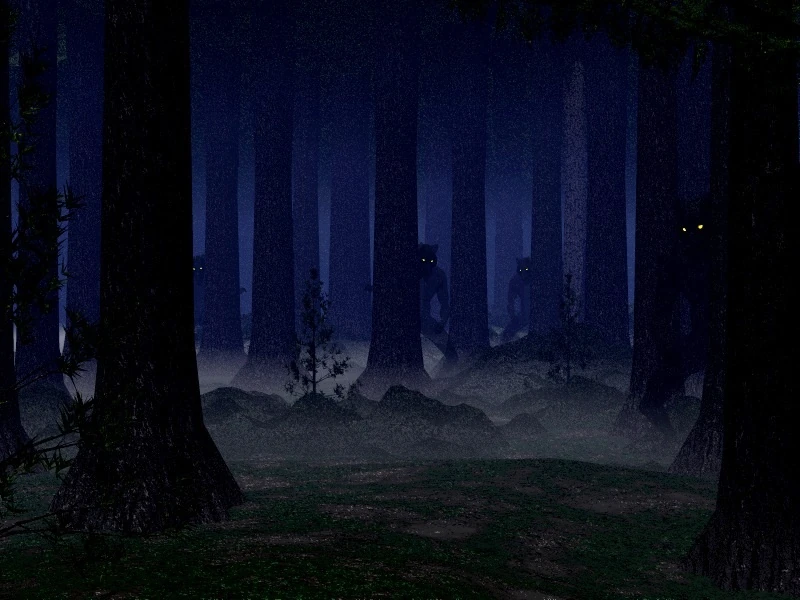 A night in a jungle essay image