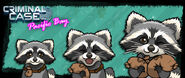 Raccoon.jpg (275 KB) Mapache