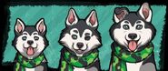 Husky.jpg (40 KB) Ronco