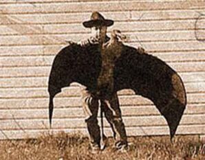 Pterosaur 3 lg