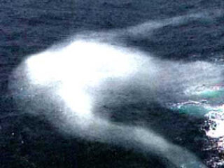 Antarctic humanoid 6