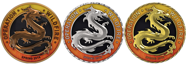 Cs Go Coin Cs Go Coin