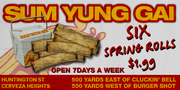 Sum Yung Gai Werbung.png
