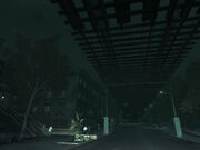 Savannah Avenue.jpg