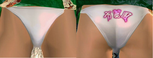 File:DOA4LeiFangPantiesCos1.jpg