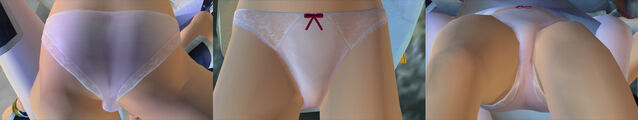 File:DOAUKasumiPantiesCos14b.jpg