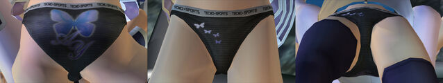 File:DOAUAyanePantiesCos7.jpg