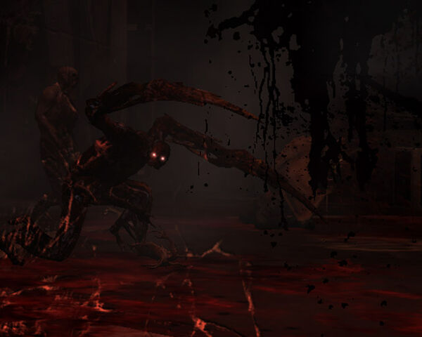 File:Chapter 13 security5.jpg