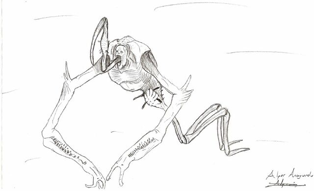 File:The tripod.jpg