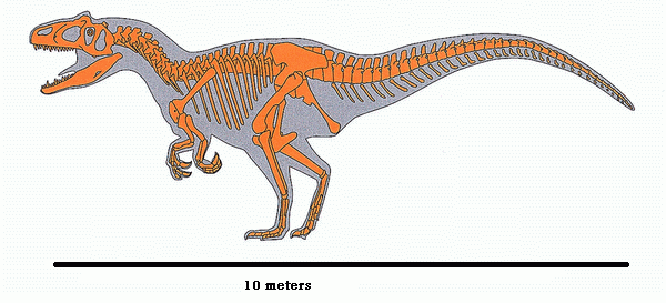 Indominus - Spoiler: Apariencia del I-Rex - Página 13 Latest?cb=20100221172314
