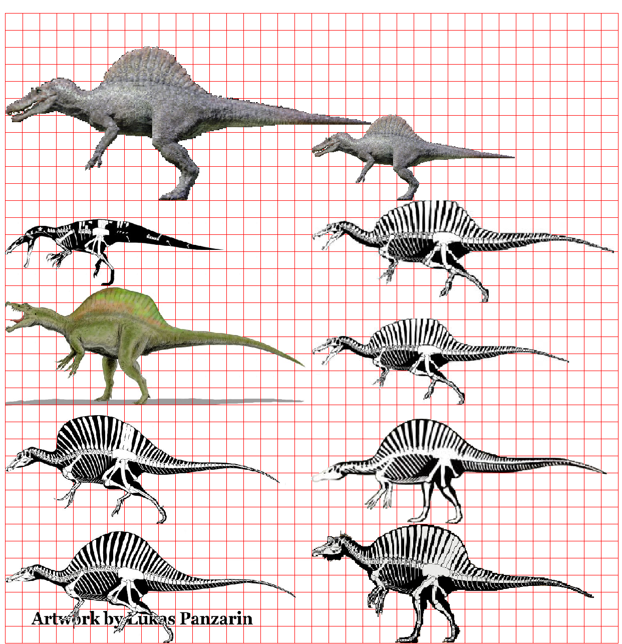size of a spinosaurus