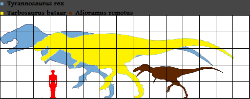tarbosaurus and tyrannosaurus