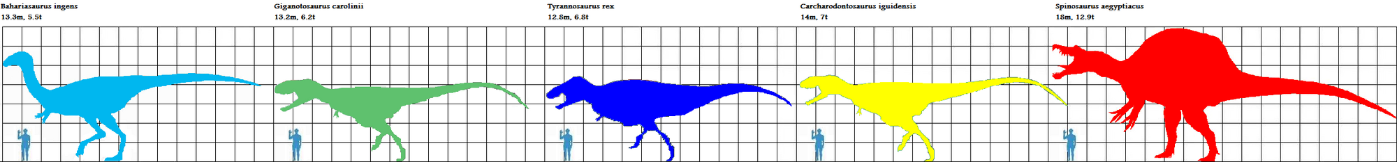 large theropods