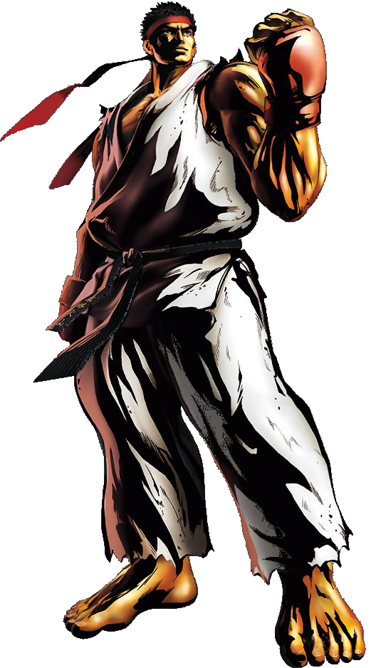 Anime Cat Shoryuken Anime Cat Shoryuken