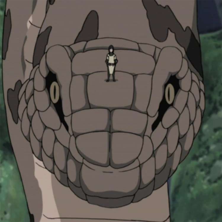 Kyodaija Narutopedia FANDOM powered by Wikia