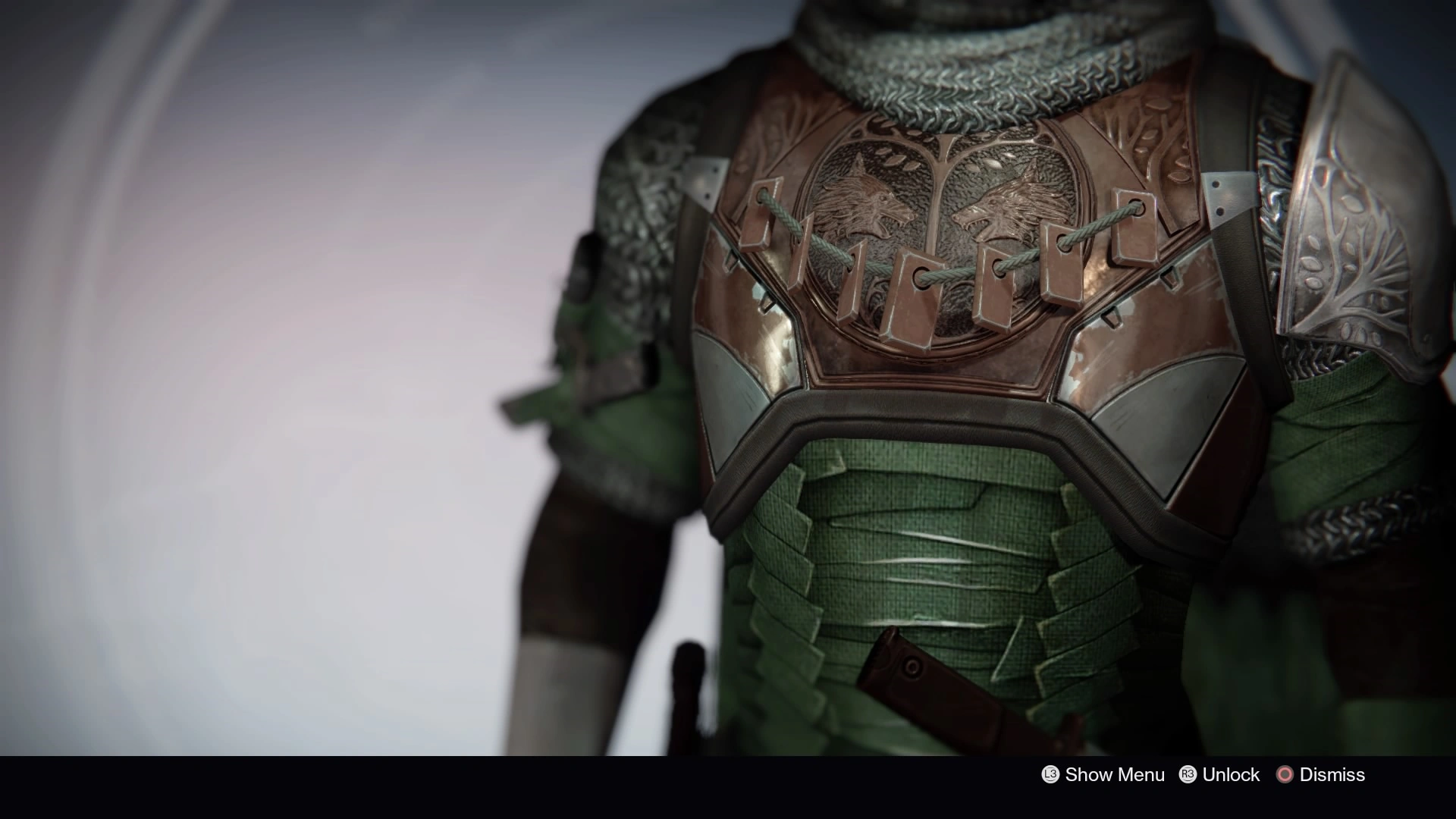 Iron Companion Vest Destiny Wiki Fandom powered by Wikia