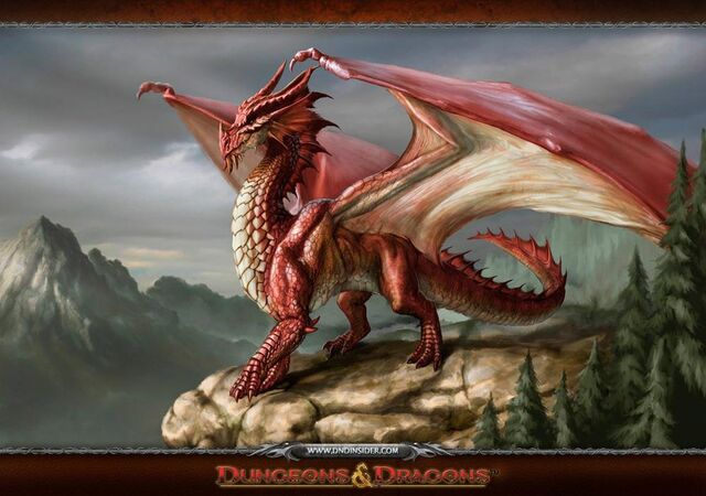Datei:Drachen Wiki 2.jpg
