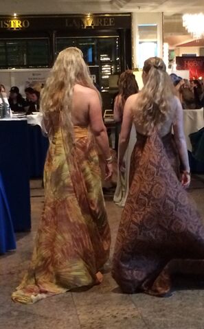 Datei:RingCon 2014 02.jpg