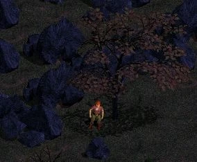 latest?cb=20080325205426