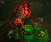 600px-Queen araneae