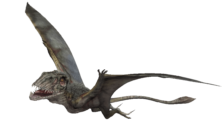 Dimorphodon | Dinosaur Wiki | Fandom powered by Wikia
