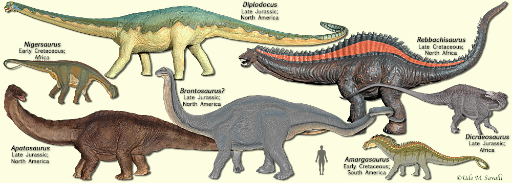 Category:Sauropods | Dinosaur Wiki | Fandom powered by Wikia