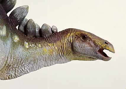 Image - 75018962.jpg | Dinosaur Wiki | Fandom powered by Wikia