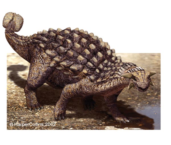Ankylosaurus/Gallery | Dinosaur Wiki | Fandom powered by Wikia