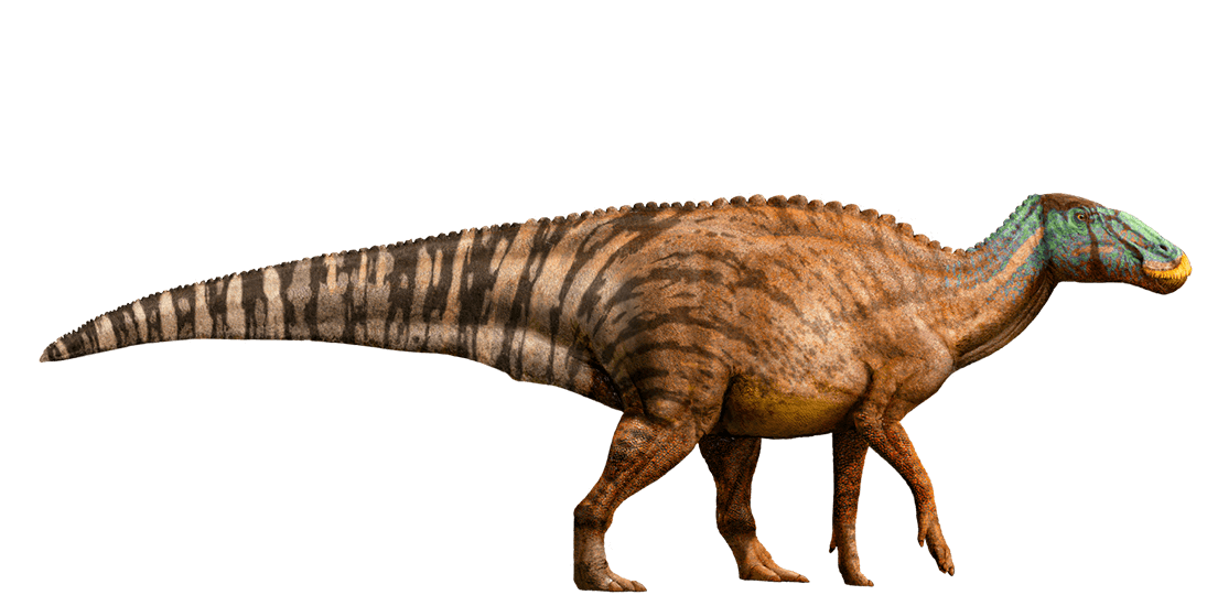dinosaur that starts with e