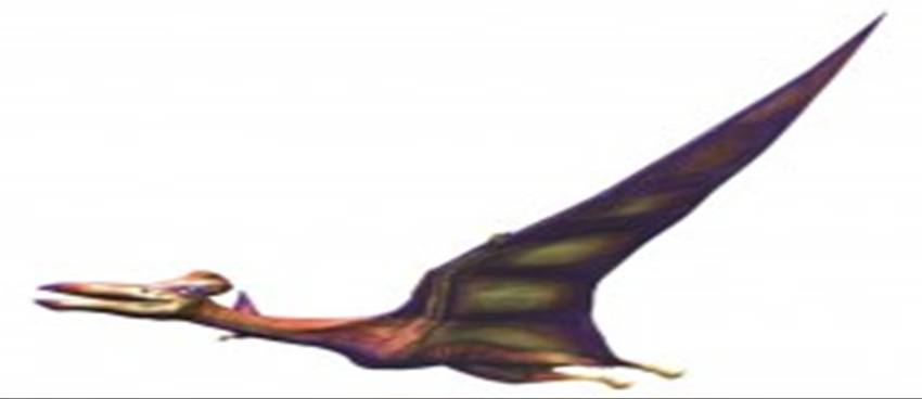 dino quetzal