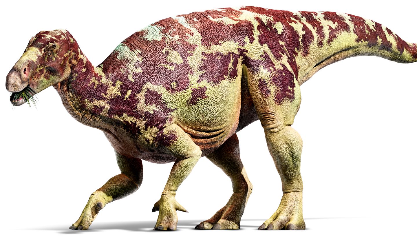 Iguanodon Latest?cb=20151027225451