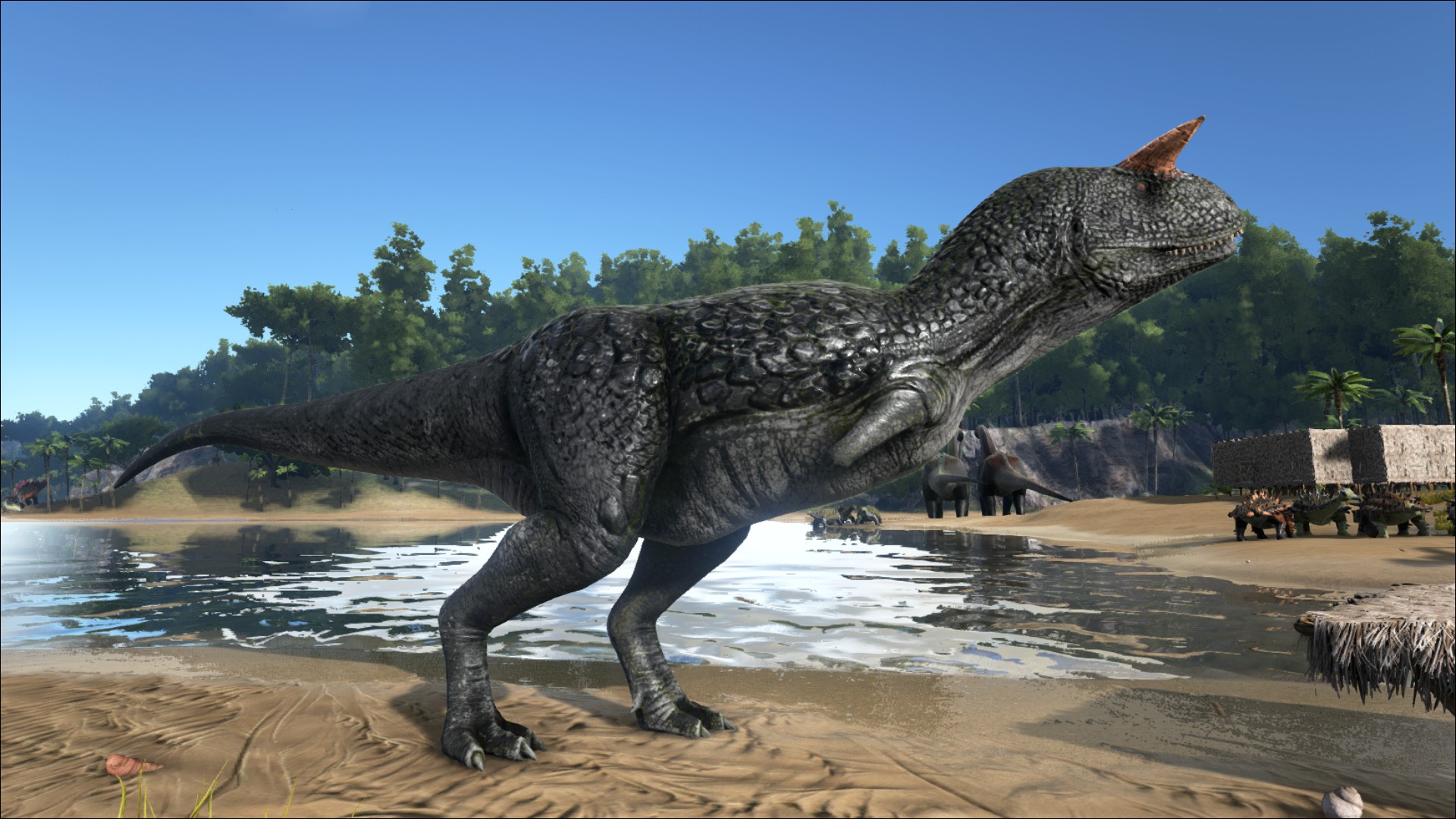 carnivores carnotaurus