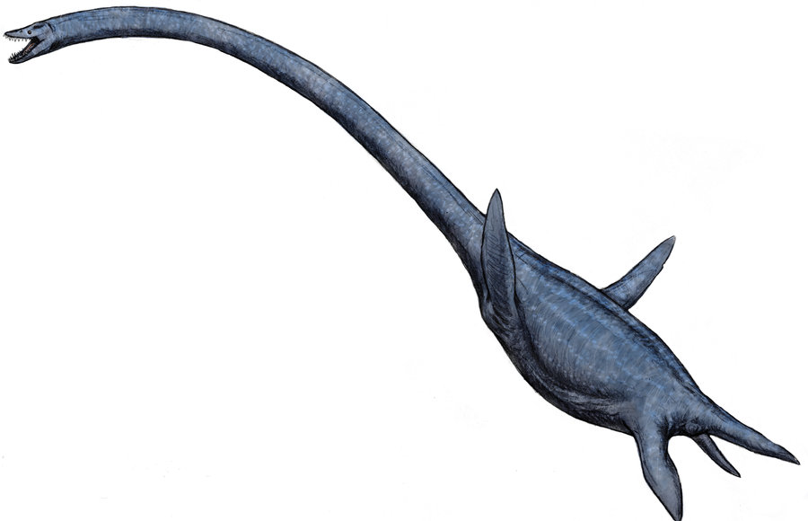 elasmosaurus prehistoric ocean creatures