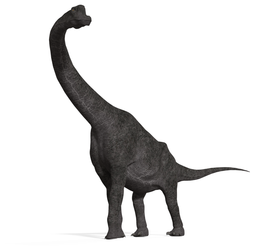 brachiosaurus evolution