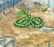 Titanoboa lvl 35
