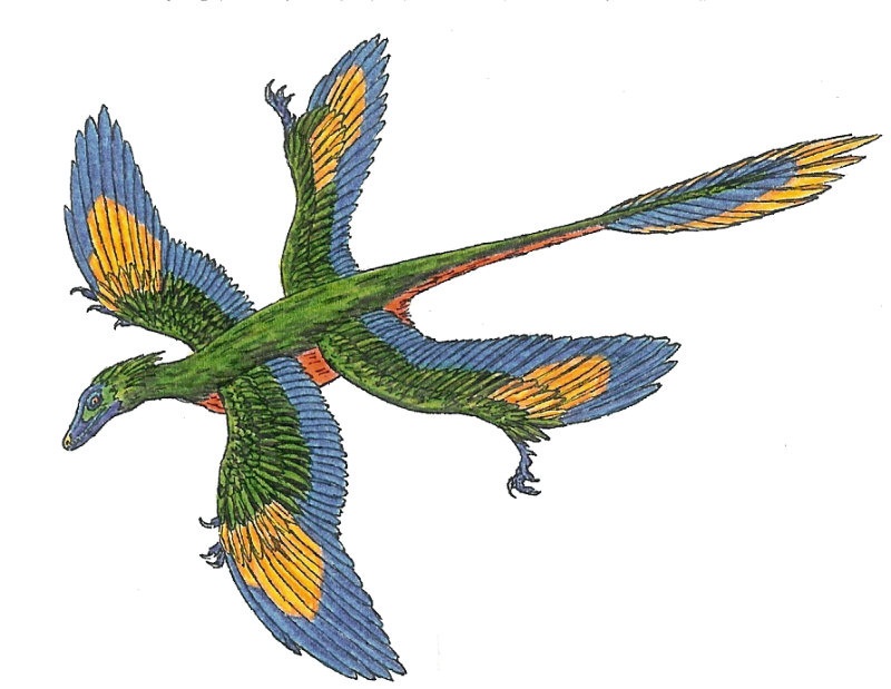 microraptor gui
