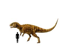 metriacanthosaurus fossil