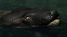 Titanoboa-0